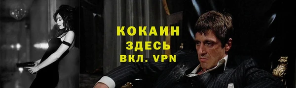 мдпв Волосово
