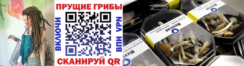 Псилоцибиновые грибы мицелий  Купить где  Магас 